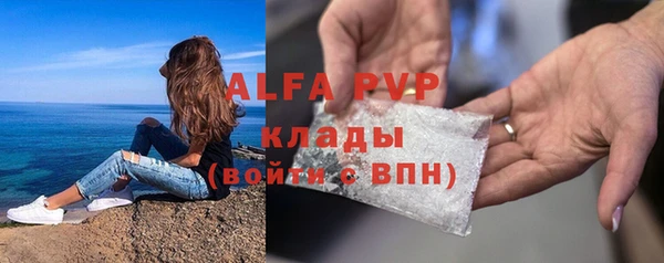 индика Аркадак
