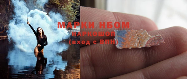 индика Аркадак