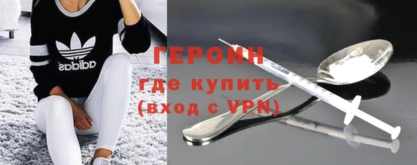 индика Аркадак