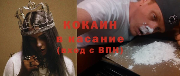 индика Аркадак