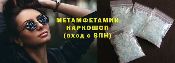 индика Аркадак