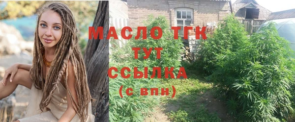 индика Аркадак