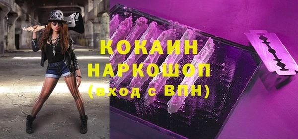 индика Аркадак