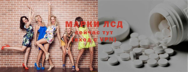 индика Аркадак