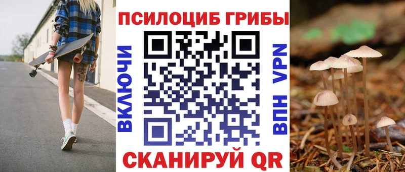Галлюциногенные грибы Cubensis Вятские Поляны
